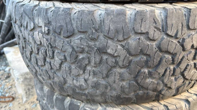 Targum Scorpion. ����� mt, 2015 ���, �/�, ����� 50 % ����