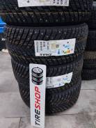 ZMax Winternova Stud II. ������, ����������, 2024 ���, ����� ����
