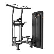  Insight Fitness BH10 