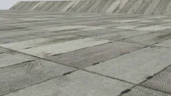 ����� ����� �������� �/�. ����