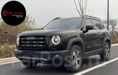 Haval Dargo. GW4N20 ����