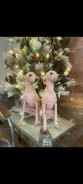 ��������. ��� ����� �� ���������� ����