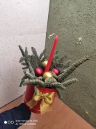 ���� �����. ����