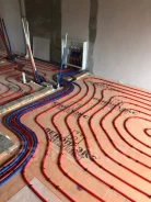������ ������ �����. ����