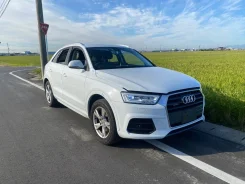 Audi Q3. 8U, CULB ����