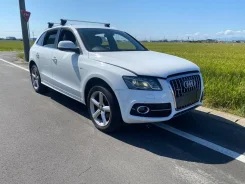 Audi Q5. 8R, CDNC ����