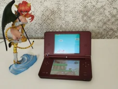 Nintendo DSi ����