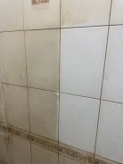������ ������� ���������. ����