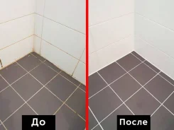 ������ ������� ���������. ����