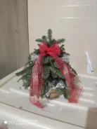 ���� �����. ����