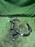 �������� ����� �. ����� Renault Sandero Stepwey II Renault 24124 24124 ����