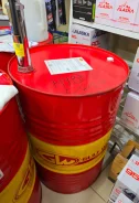 Gulf Western Oil. 0W-20, �������������, 1��. ����