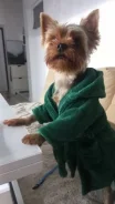 ������. ����
