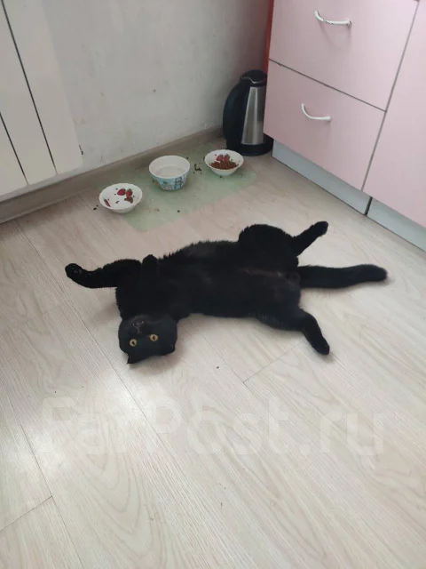 ����� �����. ����