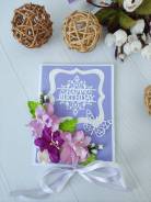    ,  - -vlcard 