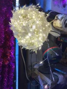 �������� "����". ��������, ���, ������� ����