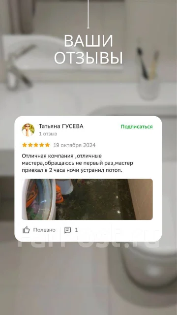 ���������. ����