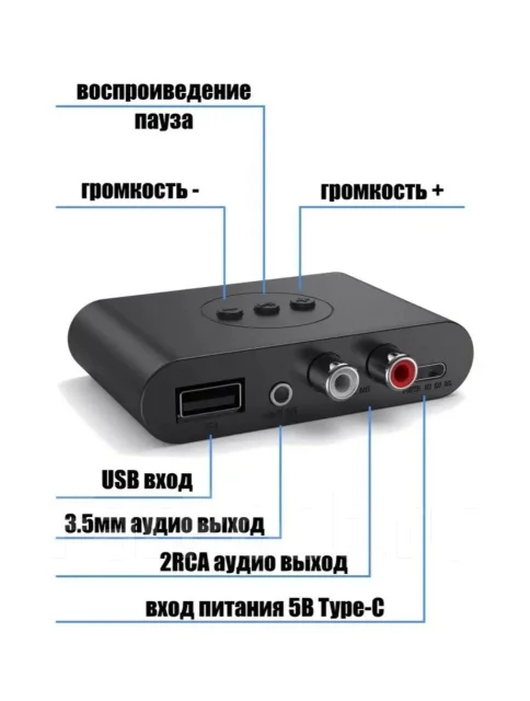 ��������. ����