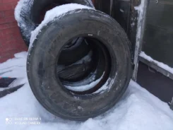 ���� NF-101. �����������, 2022 ���, �/�, ����� 10 % ����