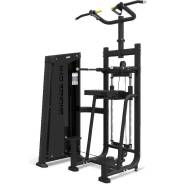   BRONZE GYM NEO 09 
