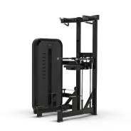   BRONZE GYM MIGHT 09 