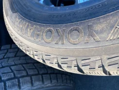 Yokohama Ice Guard IG50 Plus. ������, ��� �����, 2020 ���, �/�, ����� 10 % ����
