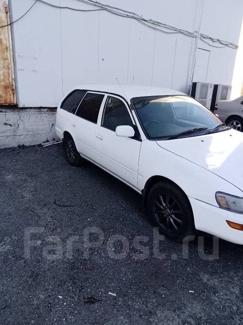 Toyota Corolla. �������, 4wd, 1.6 (110��.�.), ������ ����