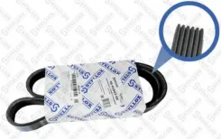 ������ ������������ 6PK1042Elast Stellox Ford Focus 1.6 16V 98-04 06-01042-SX 0601042SX ����