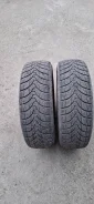 Premiorri ViaMaggiore. ������, ��� �����, 2021 ���, �/�, ����� 60 % ����