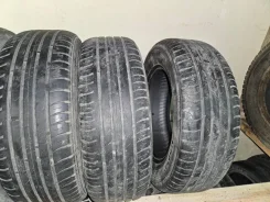 Nordman SX2