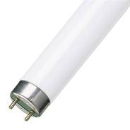   Osram L 30W/765 T8 30W 6500K G13 28187 