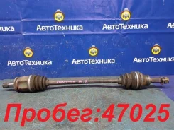 ������ Mitsubishi Airtrek 2004 [MN168705], ������ ������ MN168705 ����
