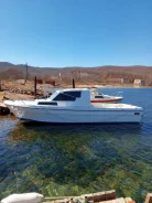 Yamaha Fish. ��������� ������������, ������ ����