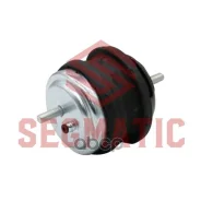 ����� ��������� Segmatic ���. SG30112250 SG30112250 ����
