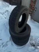 Dynamo Snow-H MSL01. ������, ����������, 2023 ���, ����� ����