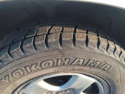 Yokoma. ������, ��� �����, 2017 ���, �/�, ����� 10 %. �������� ������ ����