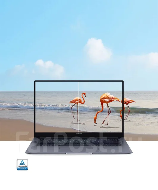 Honor MagicBook X 14. 14", 4,2����, ��� 8 ��, ���� 512���, WiFi: 1, Bluetooth: 1, ����������� �� 8��. ����