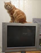 �����. CRT (���) ����
