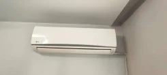 LG. 25��&sup2; ����