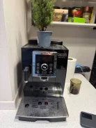 ����������. ����