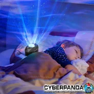 ���������. ����