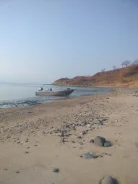 Yoshizawa. 1997 ���, ����� 6��., ��������� ���������, 100��.�., ������ ����