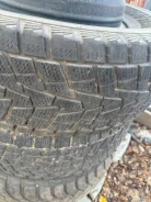 Bridgestone Blizzak DM-Z2. �����������, �/�, ����� 40 % ����