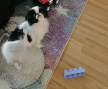 �������� ���. ����