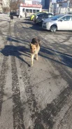 �������. ����