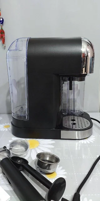 ���������. ����