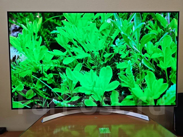 LG OLED55B7V ����