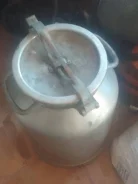 ���, ������� ��������. ����
