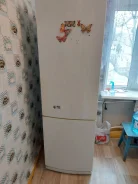 ������������ ������������. ����