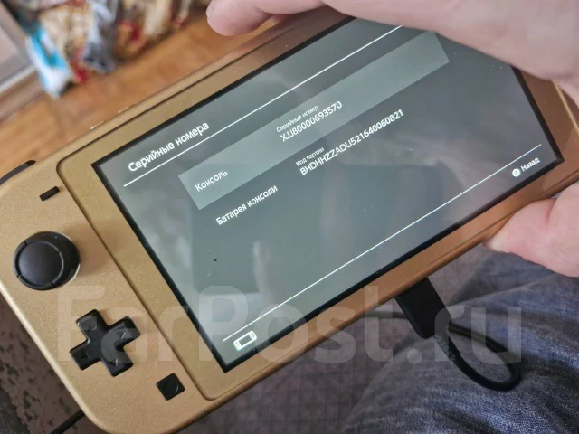 Nintendo Switch Lite ����